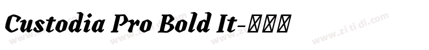 Custodia Pro Bold It字体转换